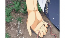 红绳漫画,一段跨越时空的浪漫传奇