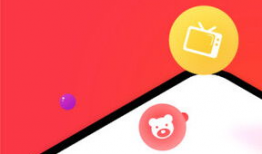 番茄视频,短视频时代的潮流风向标